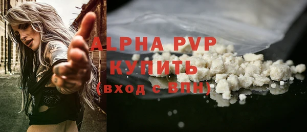 Альфа ПВП Бородино