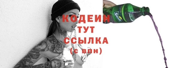 Альфа ПВП Бородино