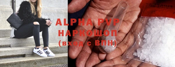 Альфа ПВП Бородино
