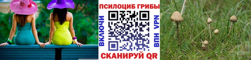 Псилоцибиновые грибы Cubensis  Бузулук 
